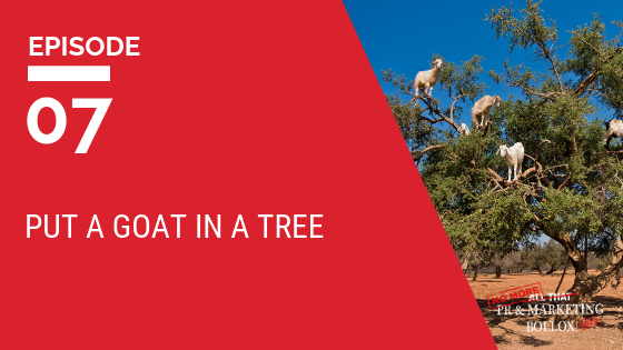 Put a goat in a tree blog image